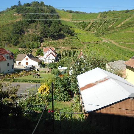 Ferienwohnung Les Vendangeurs Niedermorschwihr Exterior foto